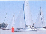 Clubregatta
